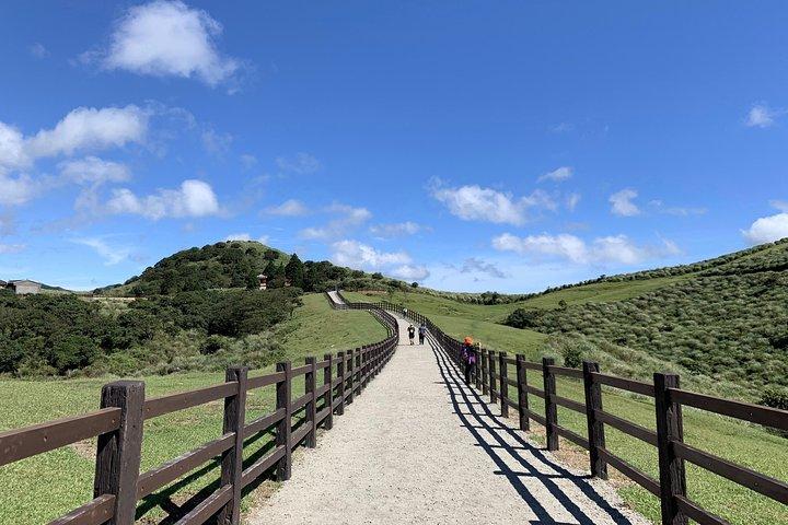 陽明山国立公園と野柳地質公園への半日プライベート ツアー