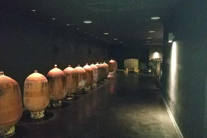 Private Wine & Cava Tasting Tour In Penedes with hotel pick up