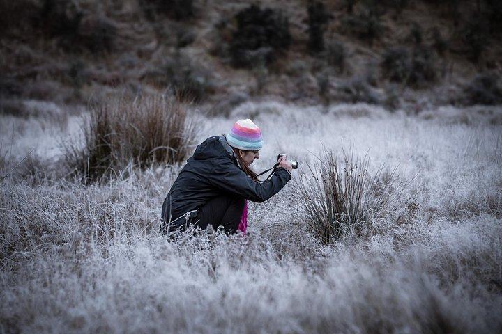 Privat halvdag fotograferingstur i Queenstown | Skippare | Glenorchy