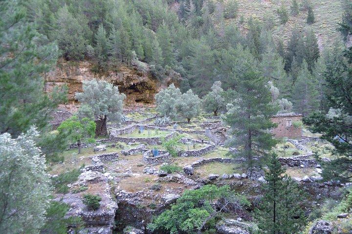 Chania: Samaria Hiking Tour (with local guide)
