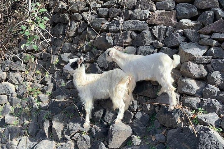 Atlas Mountains and Three Valleys & Waterfalls - Villages Marrakech Day Trip