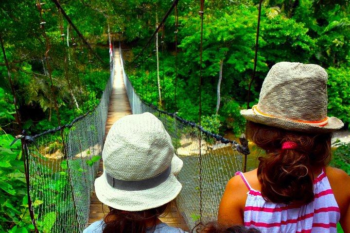 ファミリージャングルツアー:オランウータントレック(4時間のハイキング)by EcoTravel Bukit Lawang