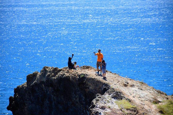 Volledige dag - Madeira Oost