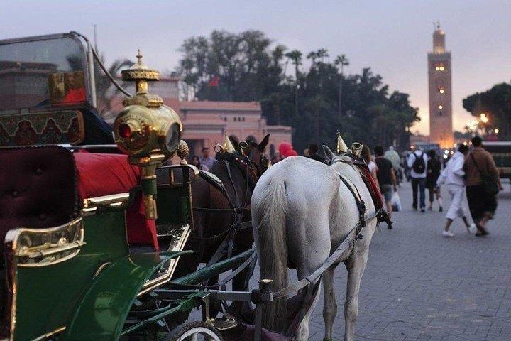 Marrakech Caleche ride by night with Free Time in Jemaa El-Fna