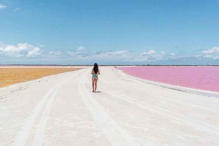 Upptäck de FABULOUS PINK WATERS på Karibien (Las Coloradas + Río Lagartos)