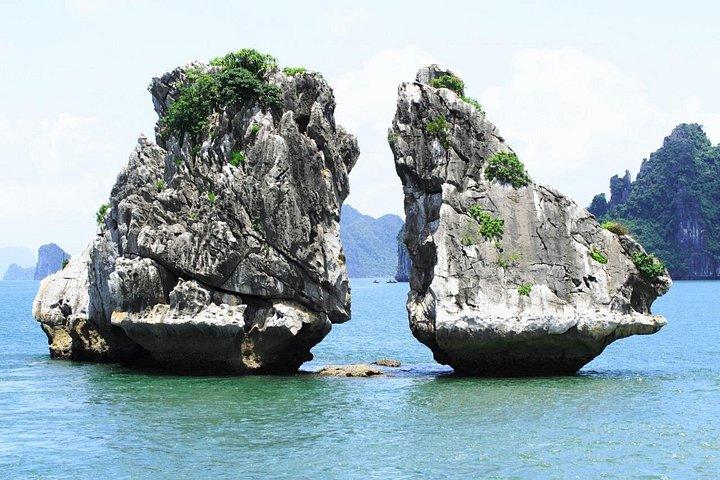 専用車両で行くハノイからハロンへの往復旅行