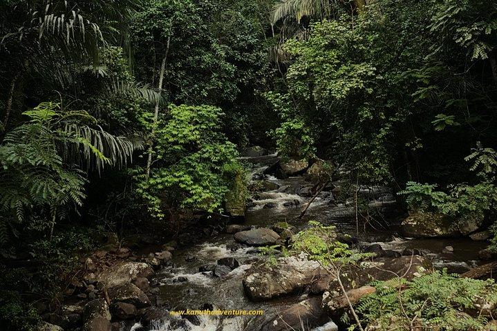 Vandring vid Udzungwa-bergen och rundtur i Nyerere National Park