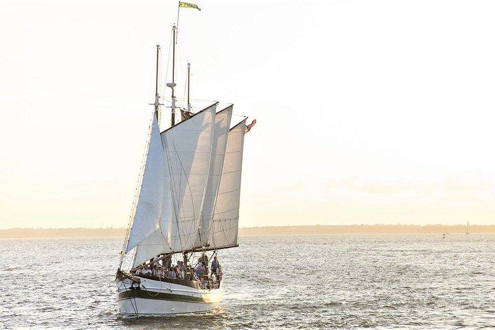 Afternoon Schooner Sightseeing Delfinkryssning på Charleston Harbor