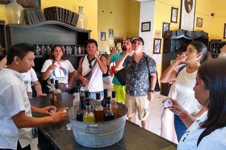 Tour con espectáculo de luz y sonido "Noches de Kukulkán" desde la Riviera Maya