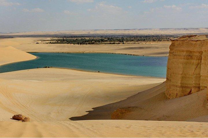 Excursion d'une journée à l'oasis de Fayoum depuis le Caire