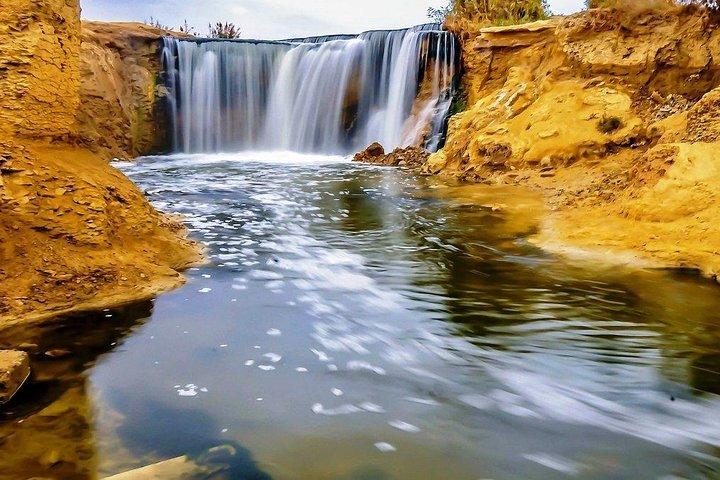 Dagstur till Fayoum oas från Kairo