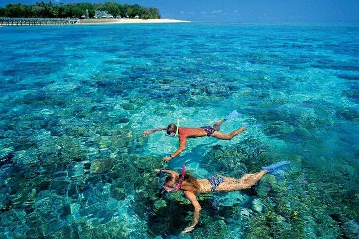 El Gouna Rødehavs Snorkelrejse