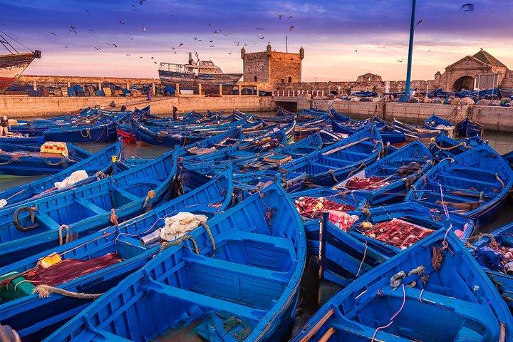Private Transfer: Marrakech to Essaouira (Door-to-Door)
