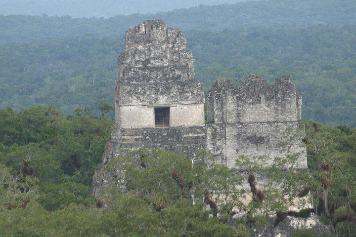 Tikal Maya Site with Local Guide & Lunch