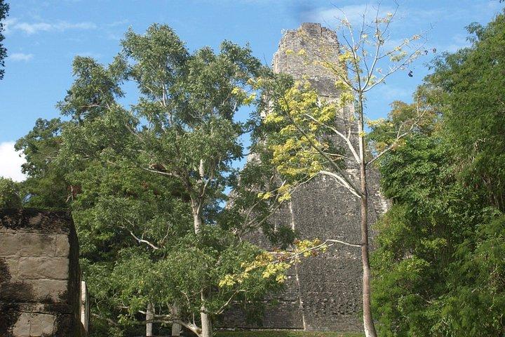 Tikal Maya Site with Local Guide & Lunch