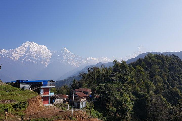Mardi Himal Trek