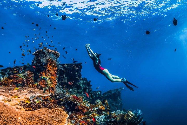 Snorkel en Amed Bali: naufragio japonés y recorrido por la playa de Viena