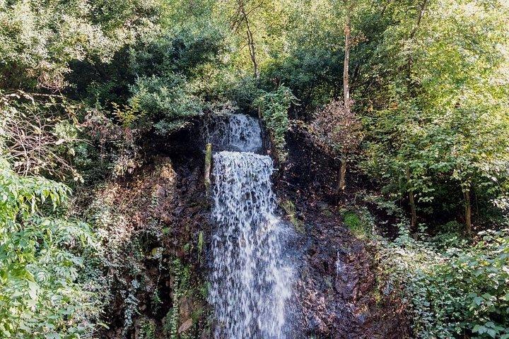 Sapanca And Masukiye Tour With Lunch - Full Day