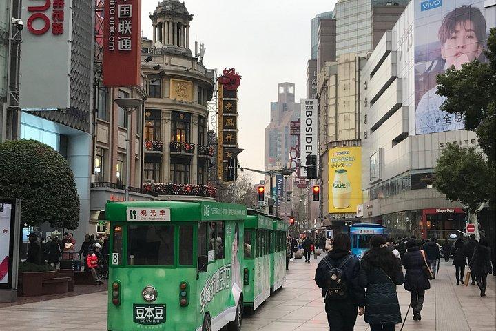 Privat heldags Shanghai Sunset Tour med tempel och middag
