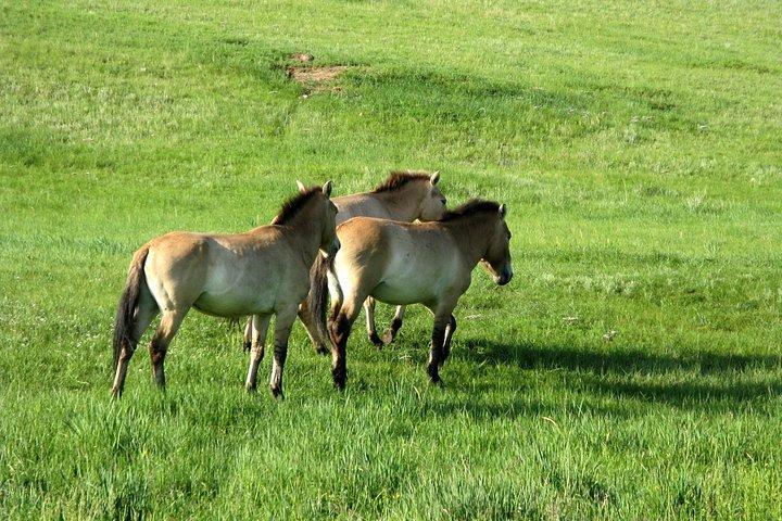 Scenes of National Parks
