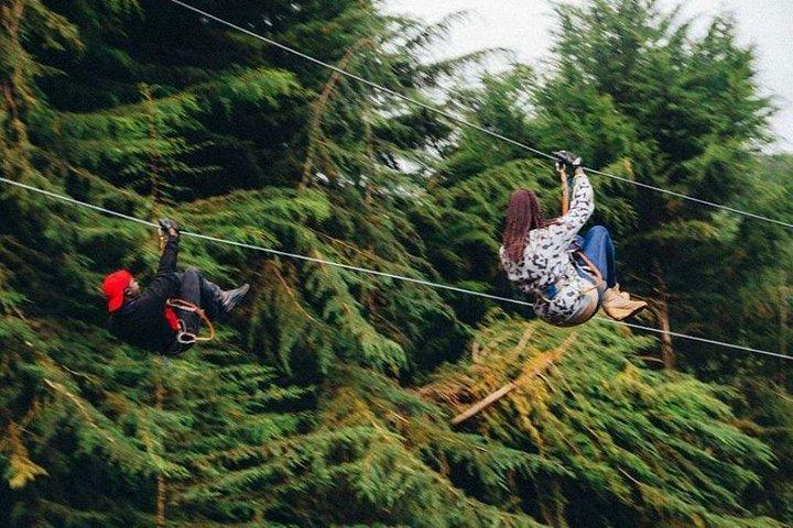 Nairobi Zip Lining Adventure Experience