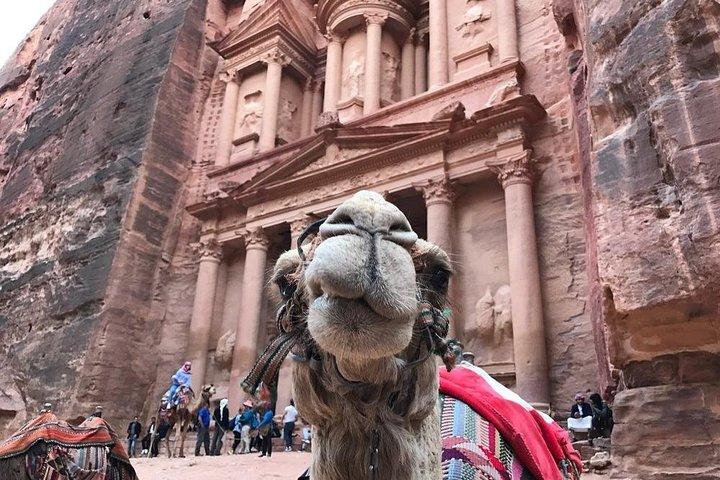 アカバ市からのプライベート ペトラ 1 日旅行