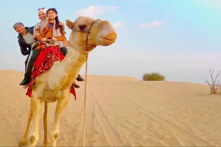 Abendwüstensafari Dubai mit Abendbuffet: Privatfahrzeug
