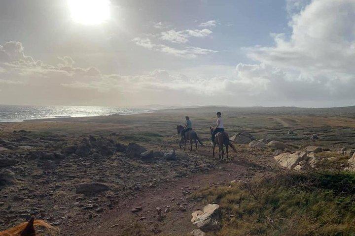 Aruba 2,5 timers ridning for avancerede ryttere