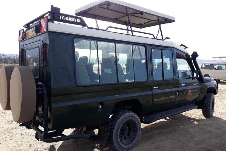 Bush Safaris och transfer till flygplatsen