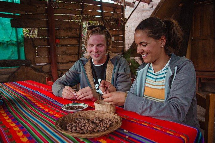 Make artisan chocolate , chicha de jora and ceramic ornaments with local experts