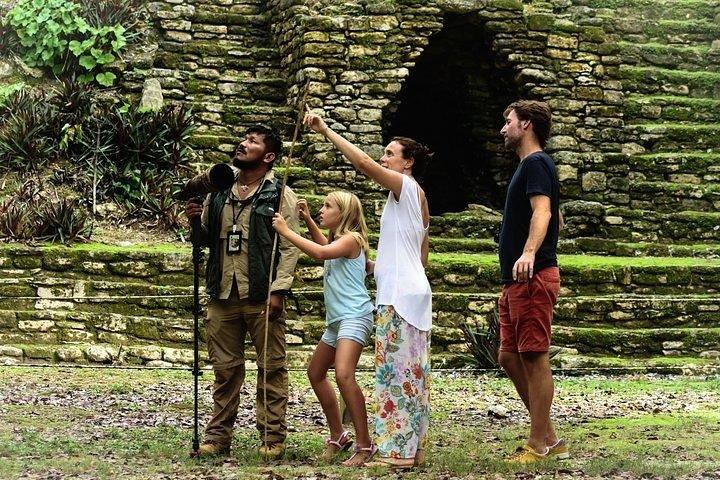Birdwatching at The Mayan Cities with certified guide