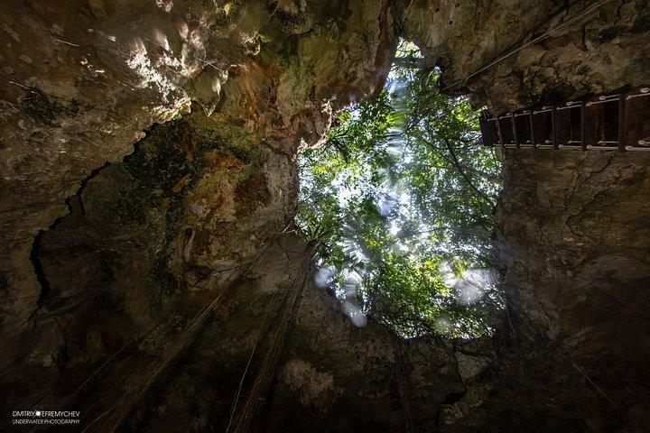 Diving package Cenotes exploration