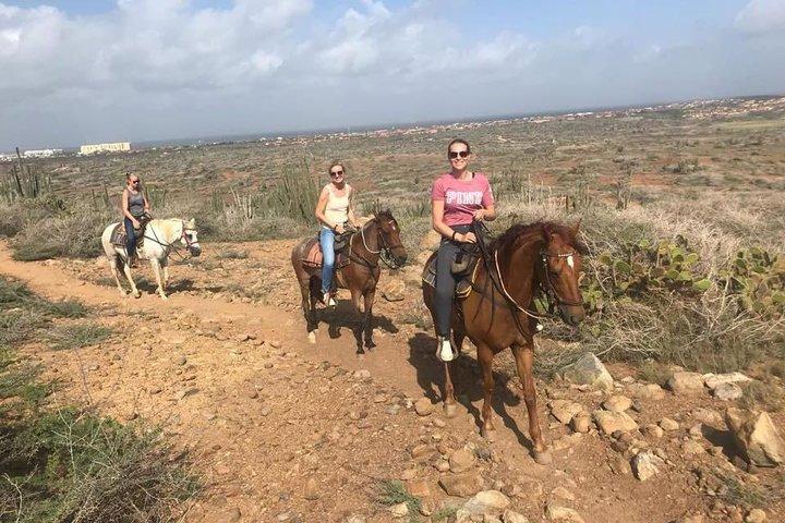 Balade à cheval au coucher du soleil à Aruba