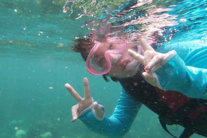 Kajak- og snorkeltur halv dag