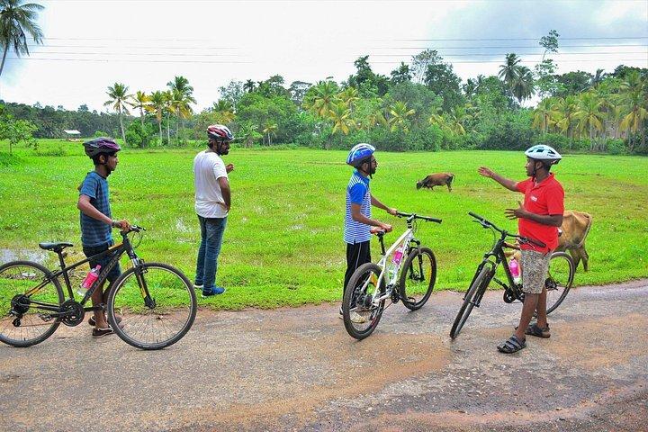 ゴールの田舎サイクリングツアー