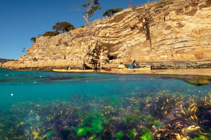 Hobart's Cliffs, Caves and Beaches Kayak Tour