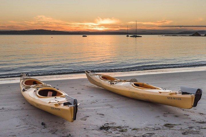 Hobart's Cliffs, Caves and Beaches Kayak Tour
