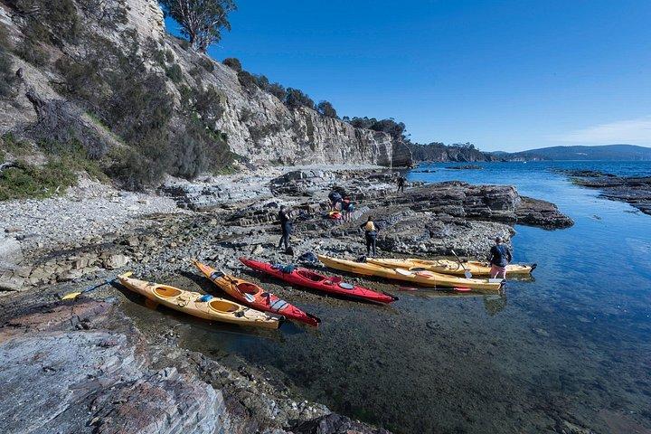 Hobart's Cliffs, Caves and Beaches Kayak Tour