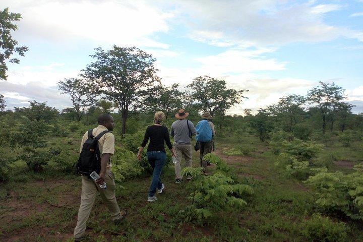 Rhino & Nature Spaziergang im Musiotunya National Park