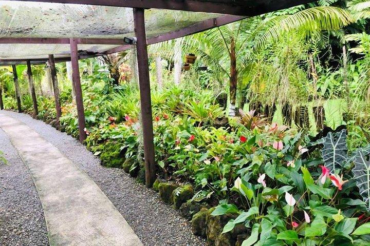 プライベートデナラウショアエクスカーション-寺院、ショッピング、マーケット、庭園、泥プール