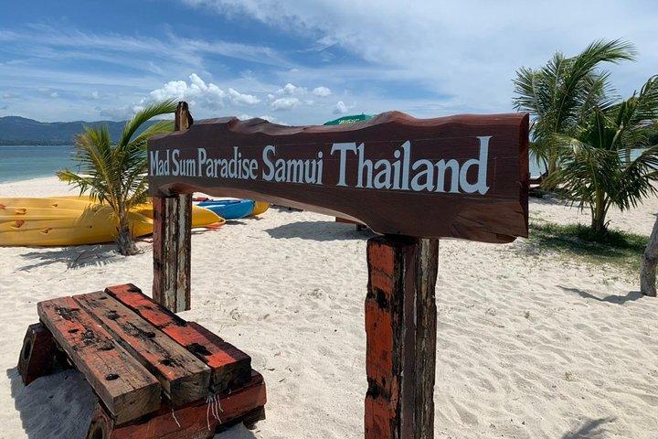 Excursão à Ilha Pig e Koh Tan em lancha (Snorkeling e Caiaque)