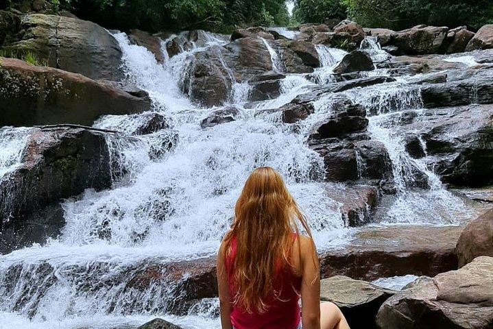 Trekking e birdwatching nella foresta pluviale di Kanneliya