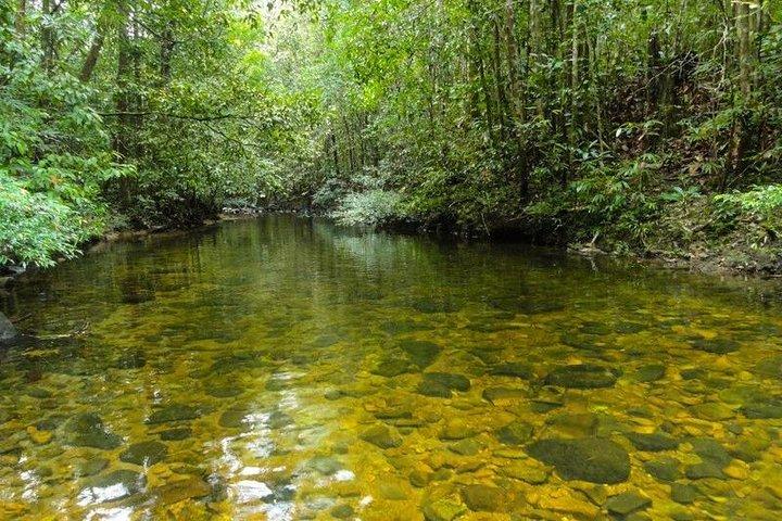 Trekking e birdwatching nella foresta pluviale di Kanneliya