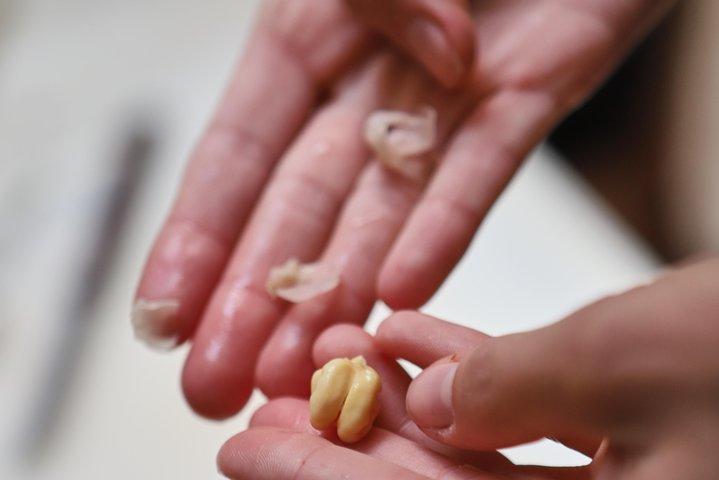 Hemmeligheden bag Harira og Ramadan