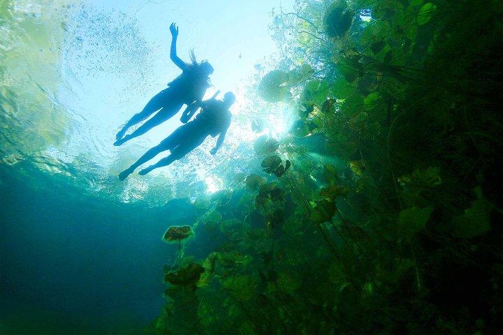 Xenotes Adventure from Riviera Maya