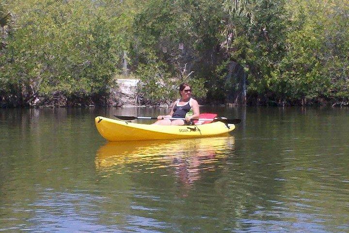 Noleggio di un kayak singolo per 2 ore con avvistamenti di lamantini e delfini!