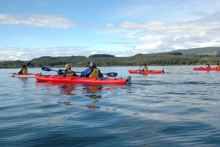 Excursion en kayak guidée au lac Rotoiti