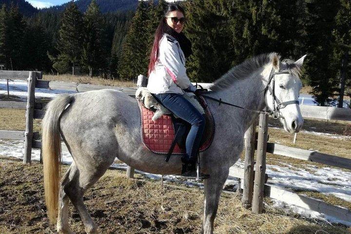 Cavalgadas particulares perto de Montanhas Rhodope de Plovdiv