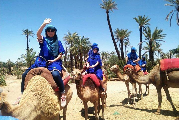 Camel Ride a Marrakech con Hotel-Pick up e drop-off inclusi