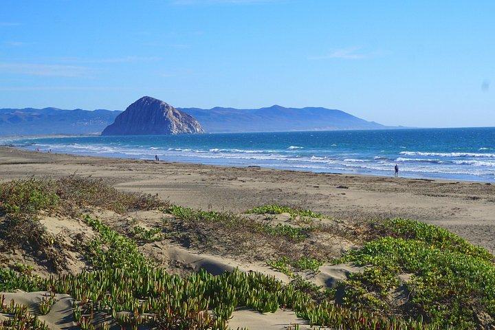 サンフランシスコからのカリフォルニアセントラルコースト3日間プライベートツアー